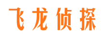 阳西市调查公司